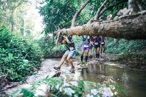 BIB: 
                            <button type="button" onclick="openModal(25435630)" class="btn btn-primary btn-sm float-right btn-popup" data-toggle="modal" data-target=".modal-high-quality">
                        <i class="fas fa-shopping-cart"></i> Add to Cart
                    </button>
                                            <button type="button" onclick="isThisMe(25435630, true)" class="btn btn-success btn-sm float-right btn-popup btn-isme hidden" data-toggle="tooltip" data-placement="bottom" title="นี่คือรูปของคุณใช่ไหม คลิกที่นี่เพื่อเอาเข้าอัลบั้ม">
                        <i class="fas fa-plus"></i> Add to album
                    </button>
                    <button type="button" onclick="isThisMe(25435630, false)" class="btn btn-warning btn-sm float-right btn-popup btn-isnotme hidden">
                        <i class="fas fa-ban"></i> Remove from album
                    </button>